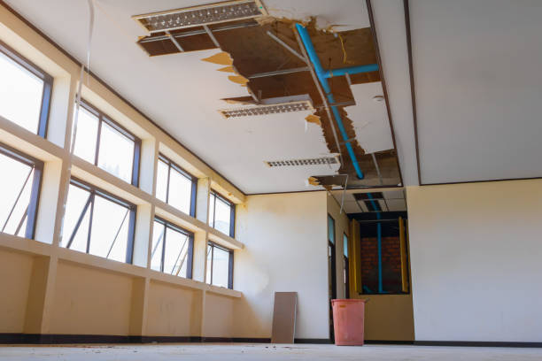 Best Flood restoration services  in Llano Grande, TX