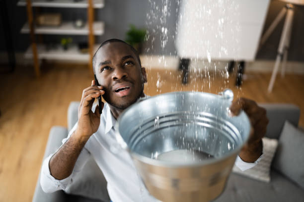 Best Water damage repair service  in Llano Grande, TX
