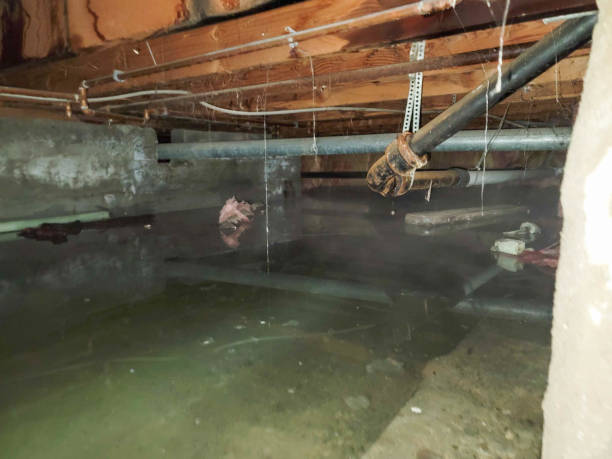 Best Water damage restoration services  in Llano Grande, TX