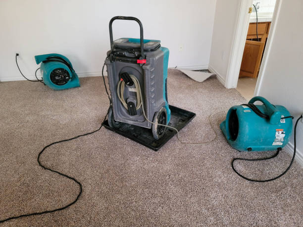 Best Flood damage cleanup  in Llano Grande, TX