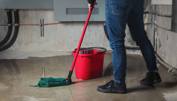 Best Local water damage restoration  in Llano Grande, TX