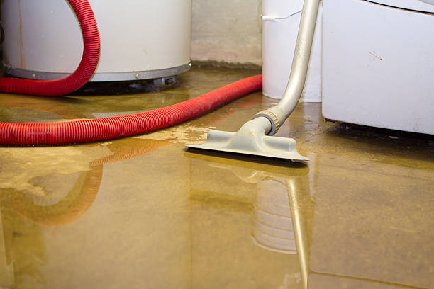 Best Water damage restoration services  in Llano Grande, TX